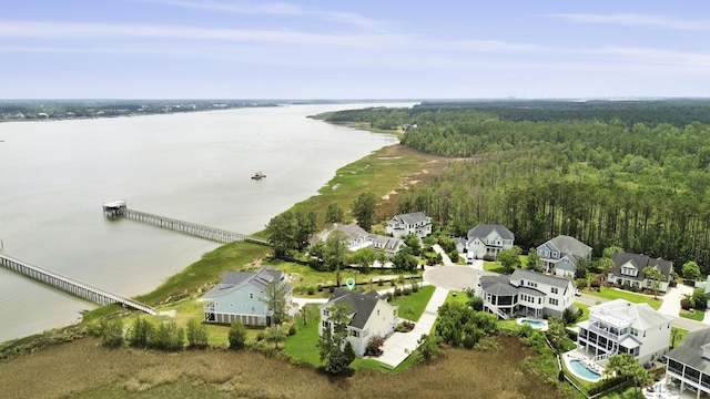1216 Rivers Reach Dr, Charleston, SC 29492 - aerial perspective of suburban area with a large body of water and a forest