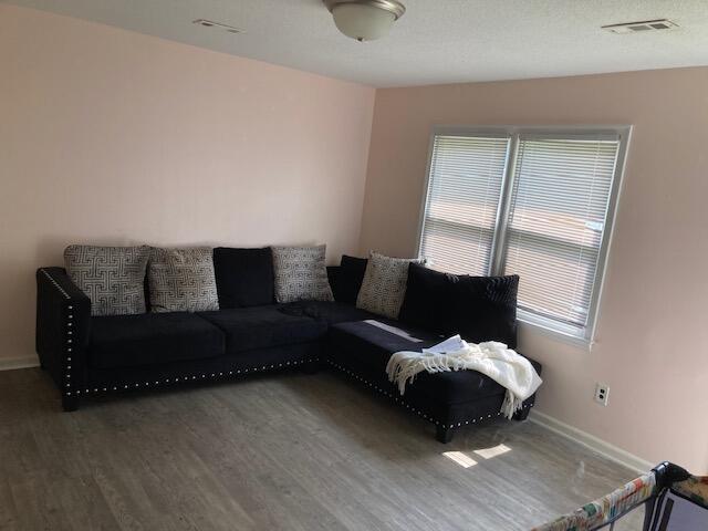 living room with wood-type flooring