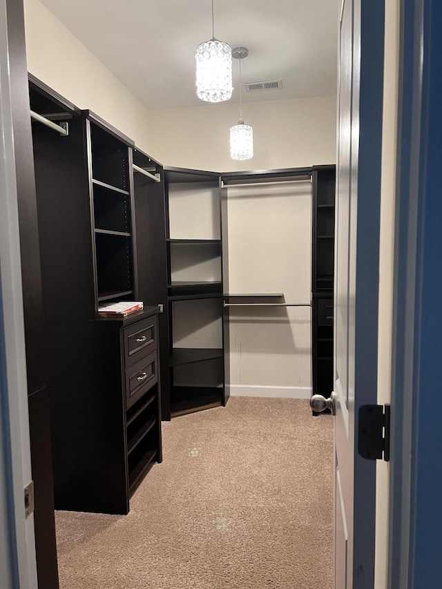 259 Weeping Cypress Dr, Moncks Corner, SC 29461 - spacious closet featuring light carpet