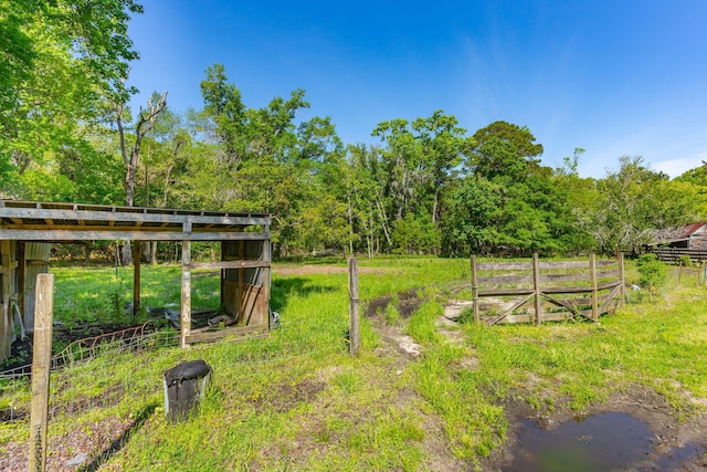 view of yard featuring a rural view