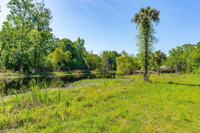 view of local wilderness featuring a water view