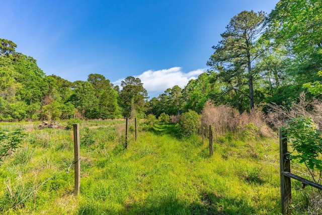 view of landscape featuring a rural view