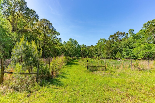 view of local wilderness featuring a rural view