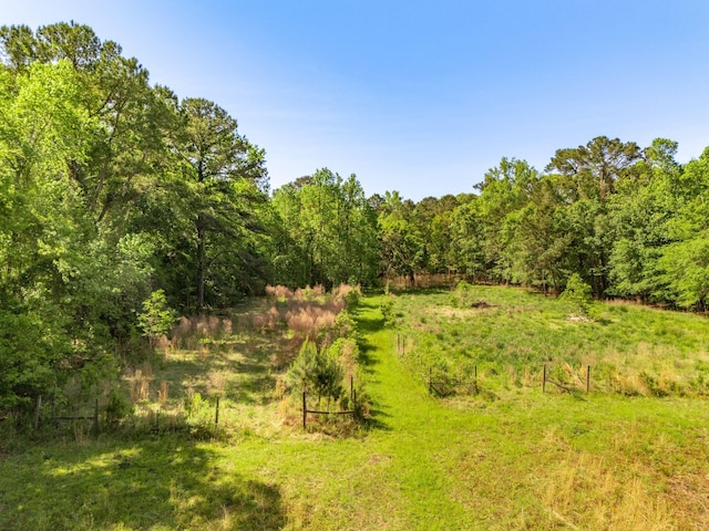 view of nature featuring a rural view