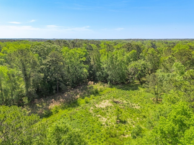 view of local wilderness