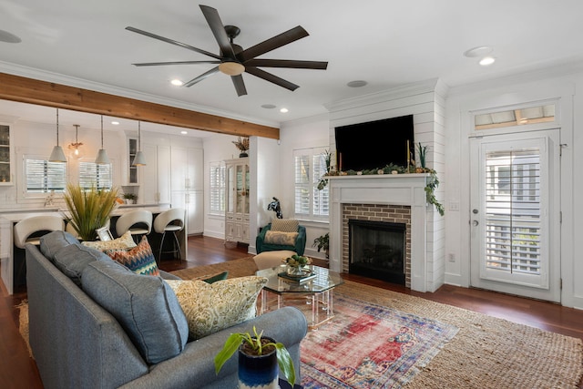 living room featuring ceiling fan, ornamental molding, dark wood-type flooring, and a brick fireplace