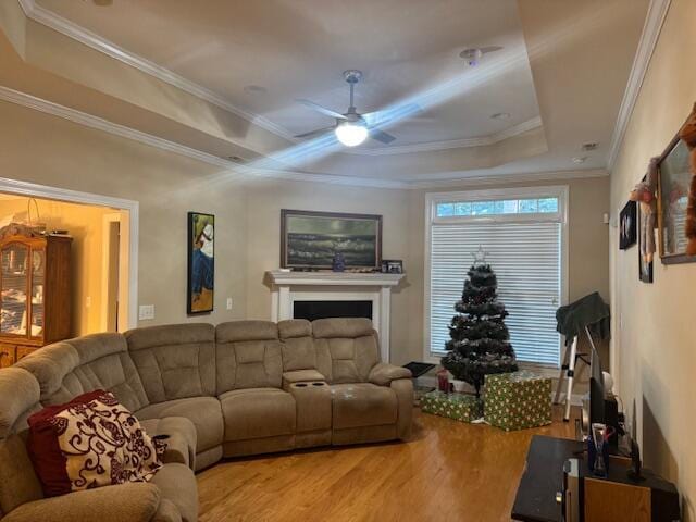 living room featuring hardwood / wood-style flooring, ceiling fan, ornamental molding, and a tray ceiling