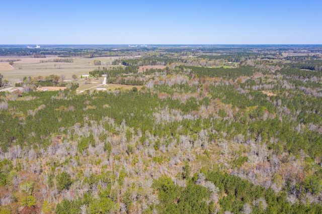 0 Two Churches Rd, Harleyville, SC 29448