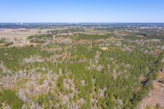 0 Two Churches Rd, Harleyville, SC 29448