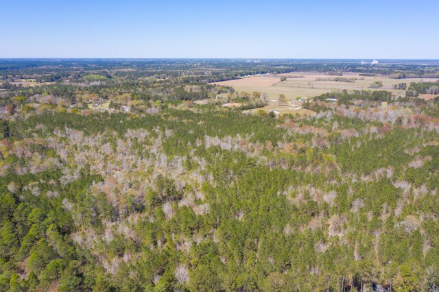 0 Two Churches Rd, Harleyville, SC 29448
