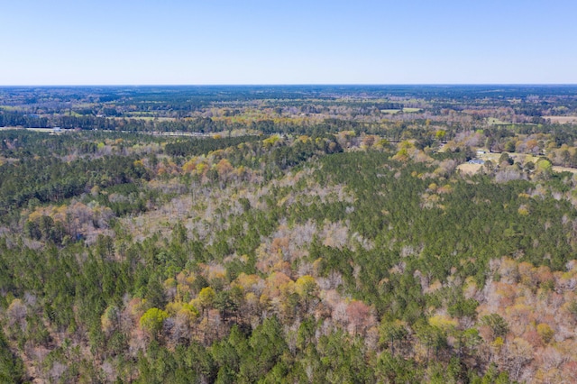 0 Two Churches Rd, Harleyville, SC 29448