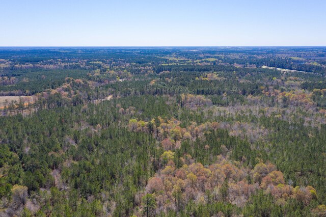 0 Two Churches Rd, Harleyville, SC 29448