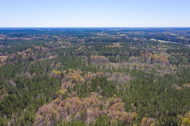0 Two Churches Rd, Harleyville, SC 29448
