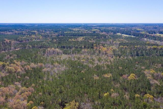 0 Two Churches Rd, Harleyville, SC 29448