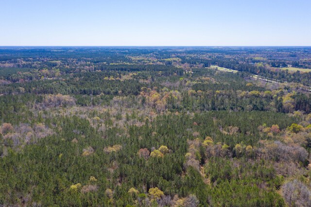 0 Two Churches Rd, Harleyville, SC 29448