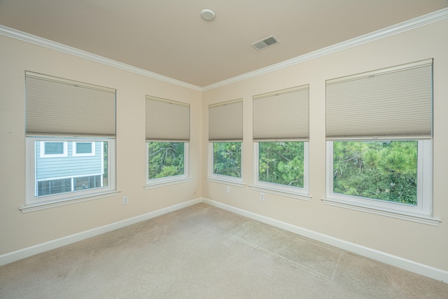 spare room with light colored carpet, crown molding, and a healthy amount of sunlight