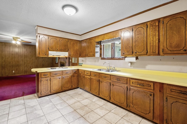 kitchen featuring white cooktop, sink, a textured ceiling, ornamental molding, and wooden walls