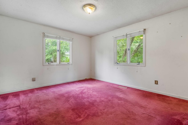 spare room with carpet and a textured ceiling