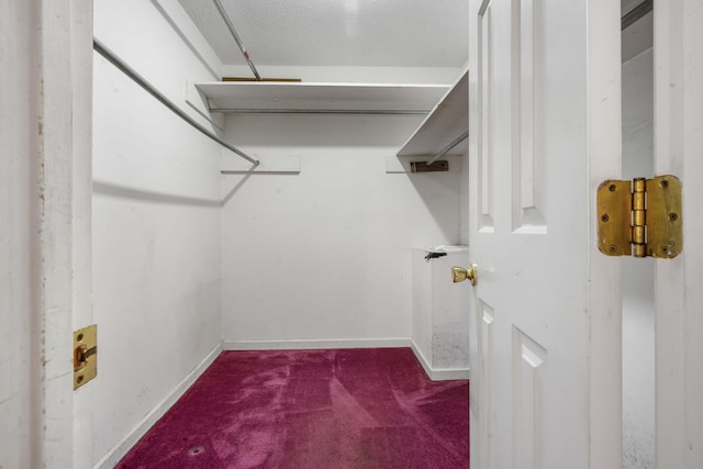 walk in closet featuring dark carpet