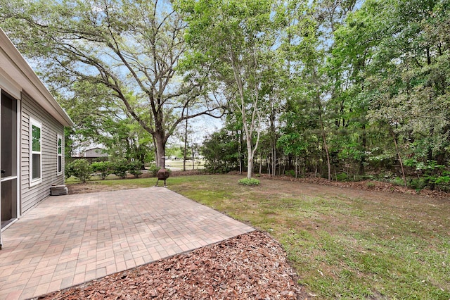 view of yard with a patio area