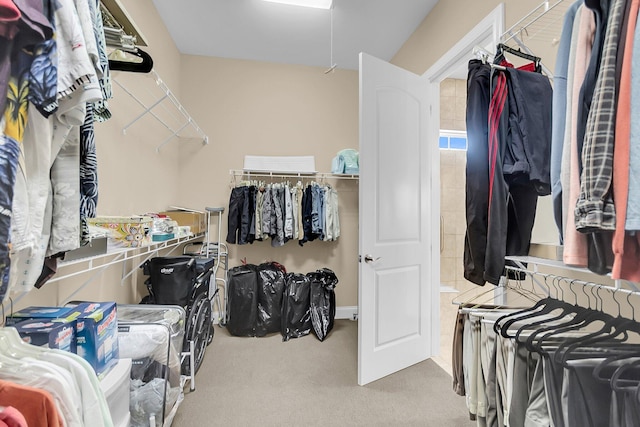 522 Tidewater Chase Ln, Summerville, SC 29486 - walk in closet featuring carpet flooring