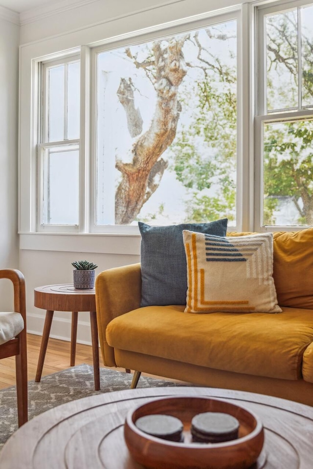sitting room featuring crown molding and wood finished floors