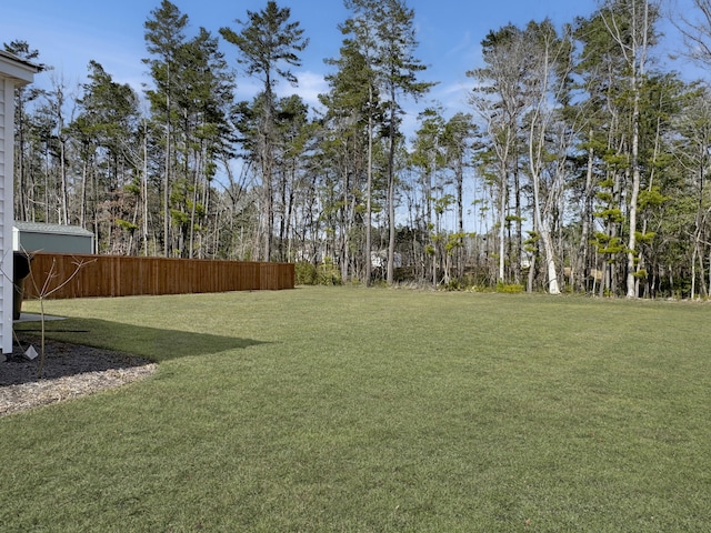 386 Spruce Ivy St, Moncks Corner, SC 29461 - view of yard