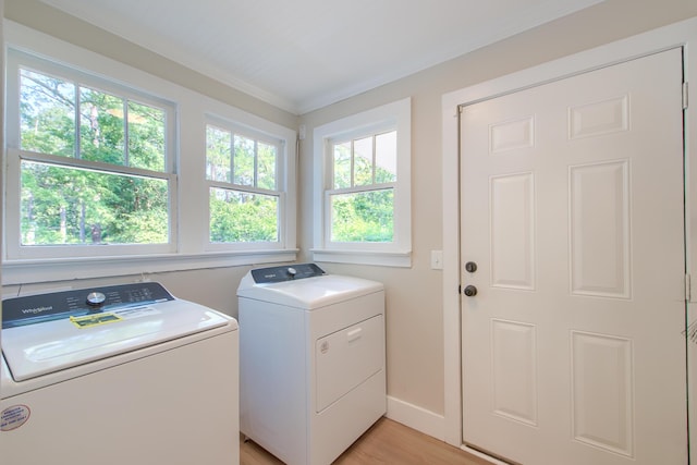 208 State St, Walterboro, SC 29488 - washroom with separate washer and dryer, light wood-style flooring, crown molding, and baseboards
