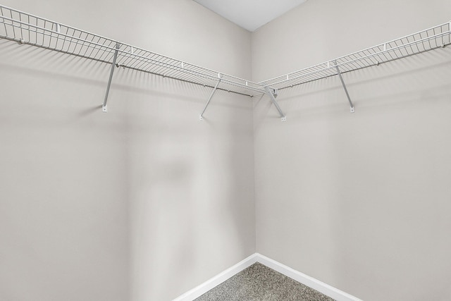 walk in closet featuring carpet flooring