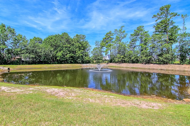 view of water feature