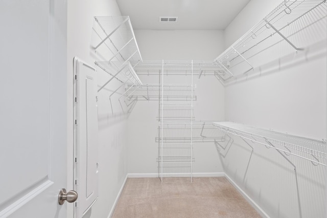 209 Country Gate Ln, Summerville, SC 29485 - walk in closet featuring light carpet