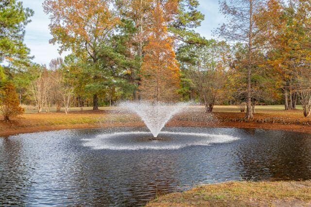 view of water feature