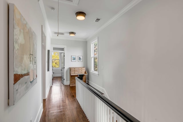 hallway with crown molding, attic access, visible vents, and dark wood-type flooring