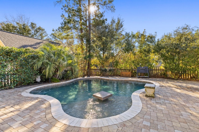 view of pool featuring a patio area