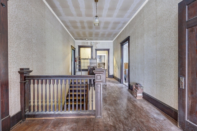 corridor featuring hardwood / wood-style floors and crown molding