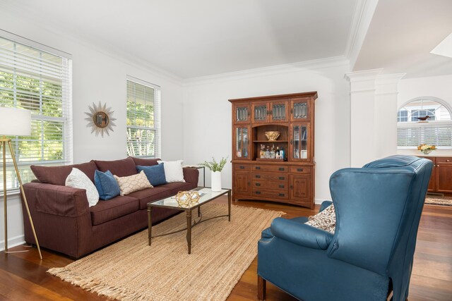1977 Pierce St, Charleston, SC 29492 - living area with crown molding and wood finished floors