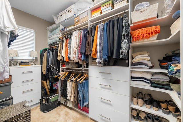 1977 Pierce St, Charleston, SC 29492 - walk in closet featuring light carpet