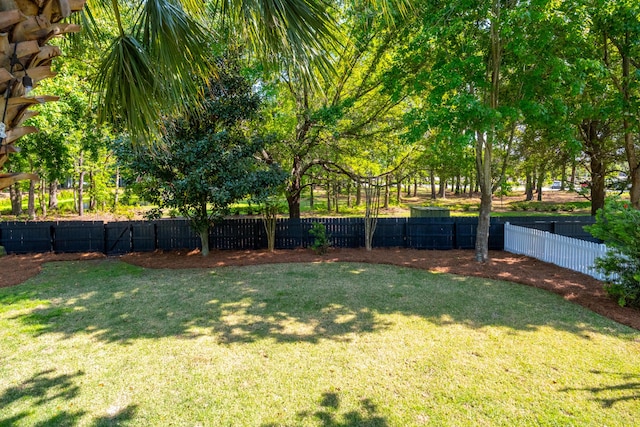 1977 Pierce St, Charleston, SC 29492 - view of yard featuring a fenced backyard