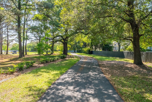 1977 Pierce St, Charleston, SC 29492 - view of street