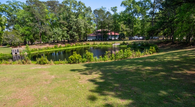 1977 Pierce St, Charleston, SC 29492 - exterior space featuring a water view and a lawn
