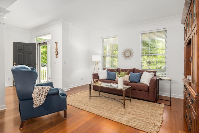 1977 Pierce St, Charleston, SC 29492 - living room with wood finished floors, baseboards, and ornamental molding