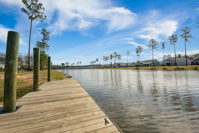 dock area with a water view