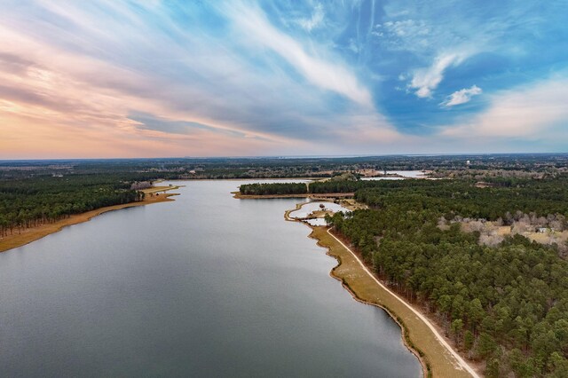 aerial view at dusk featuring a water view