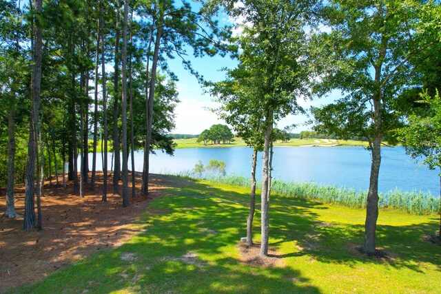 view of water feature