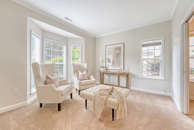 1148 Black Rush Cir, Mount Pleasant, SC 29466 - living area featuring light carpet, baseboards, and crown molding