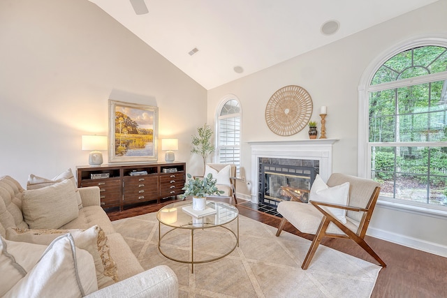 1148 Black Rush Cir, Mount Pleasant, SC 29466 - living room with wood finished floors, high vaulted ceiling, plenty of natural light, a premium fireplace, and baseboards