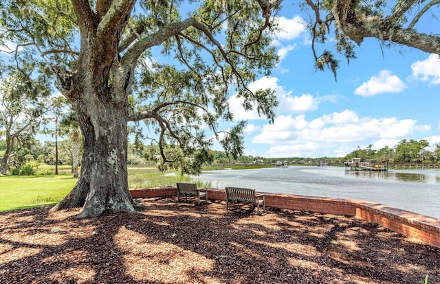 1148 Black Rush Cir, Mount Pleasant, SC 29466 - water view