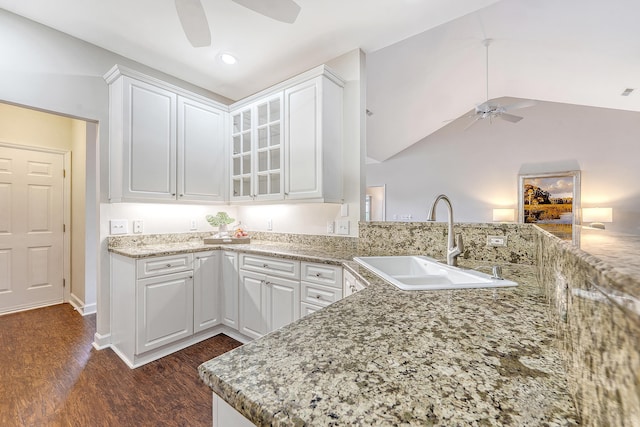 1148 Black Rush Cir, Mount Pleasant, SC 29466 - kitchen featuring ceiling fan, a sink, dark wood-style flooring, white cabinets, and light stone countertops