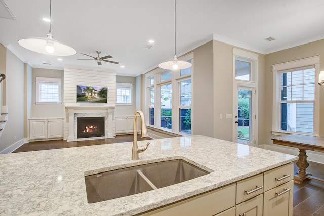 1363 Rivella Dr, Mount Pleasant, SC 29464 - kitchen with a sink, dark wood-style floors, ornamental molding, healthy amount of natural light, and light stone counters