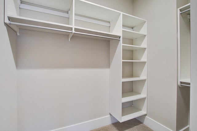 1363 Rivella Dr, Mount Pleasant, SC 29464 - spacious closet with carpet